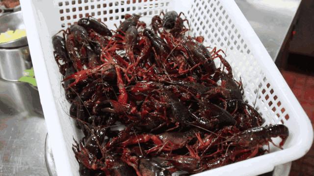 簋街麻小特色菜,簋街麻小哪家最好吃