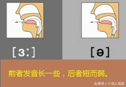 天天自学网上的软件是免费的吗,零基础自学英语音标