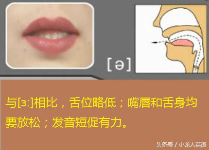 音标自学还是报班好,自学从零开始学音标