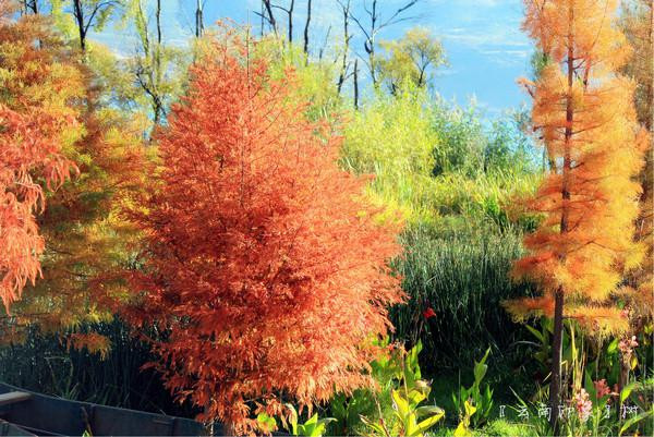 人生若只如初见在广州,人生若只如初见云南