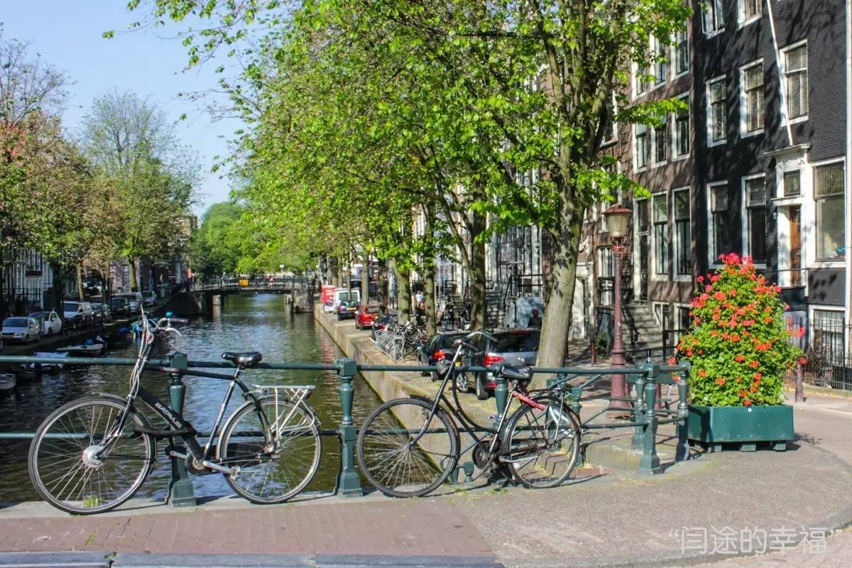 荷兰各种各样的自行车,荷兰的自行车有多高