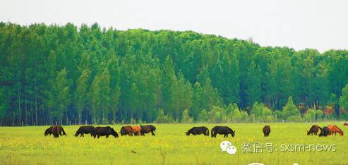 炎炎夏日，小伙伴们神木这几处清凉避暑胜地你去了吗？