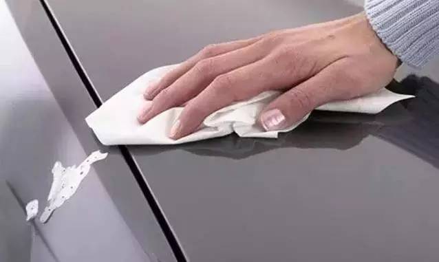 停车如何防止鸟粪,树下停车多鸟粪