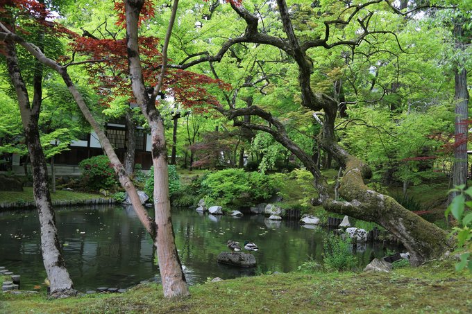京都攻略,京都深度游玩攻略