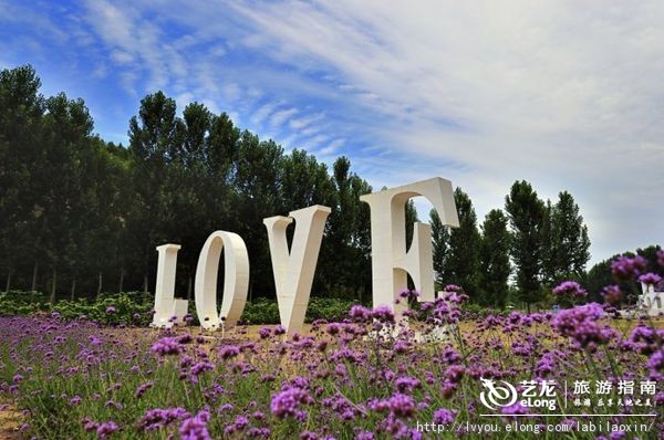 紫海香堤香草艺术庄园特色,紫海香堤香草艺术庄园怎么样