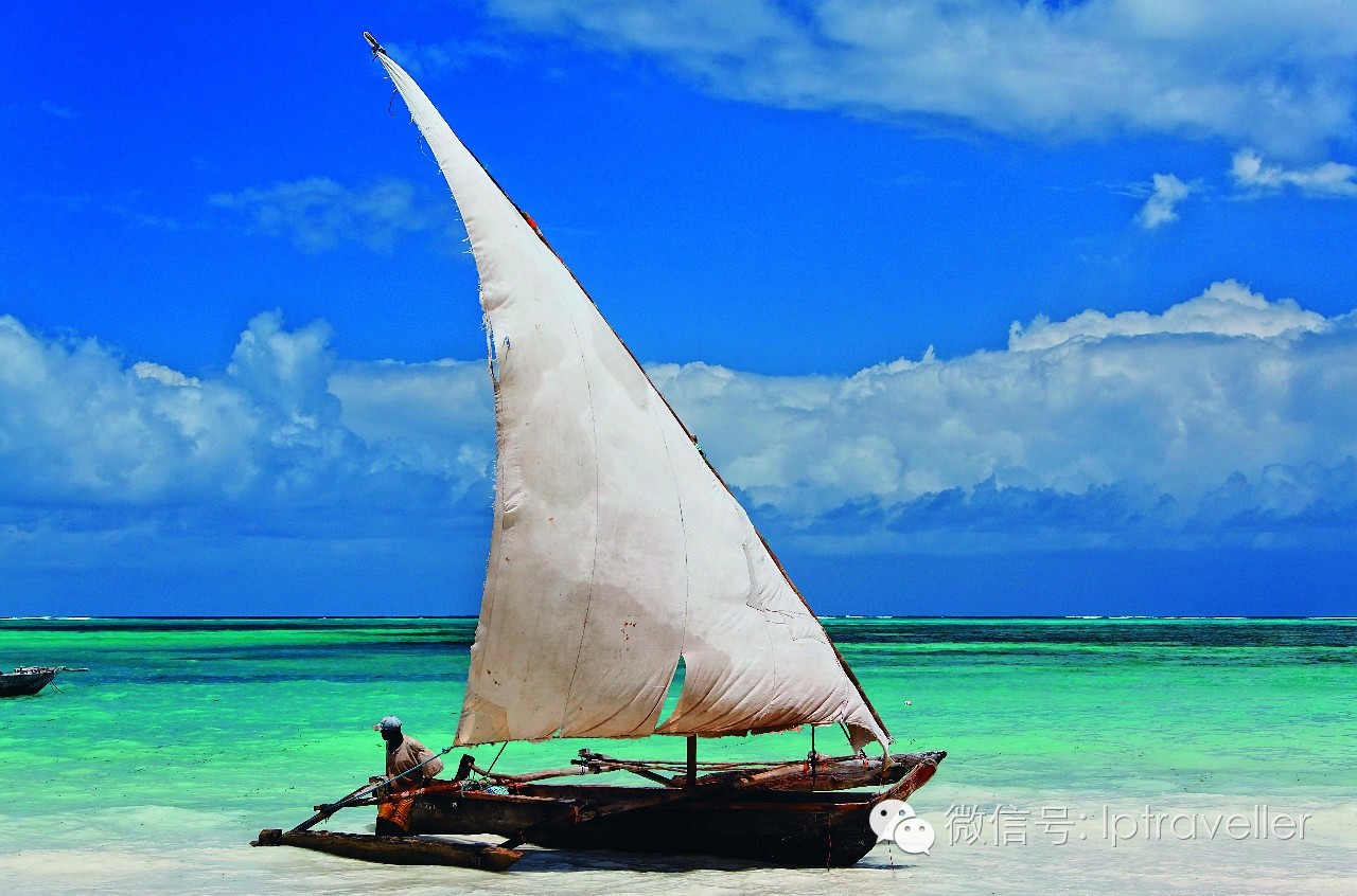 星球坐标｜热带岛屿High5：就在这里消夏度假！