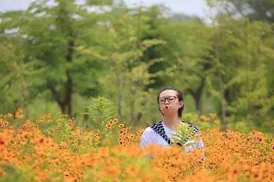 大连最美的海岛是哪里,大连哪个海岛好玩还吃得好