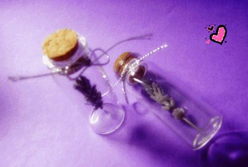 东方普罗旺斯紫色花海,普罗旺斯绚丽花海