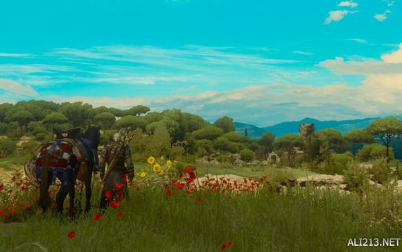 巫师3狂猎各类流派图,巫师3各流派攻略