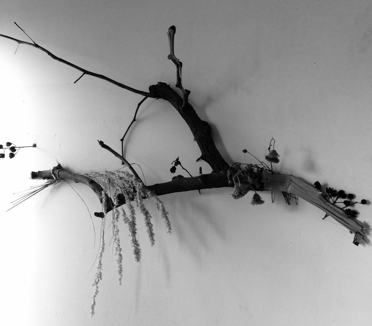 愿你的眼睛依然清澈如孩童般，在时光的尽头闪耀着星星的光芒