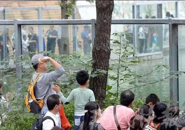 孩子喜欢的动物园,孩子喜欢的动物你绝对想不到