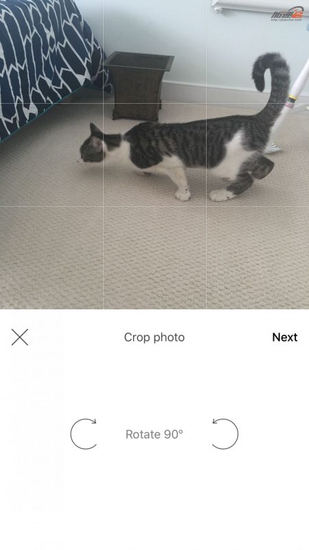 p图软件是ps还是pr,p图软件picsart如何p证件照