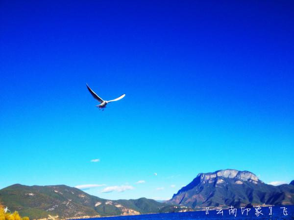 人生若只如初见在广州,人生若只如初见云南