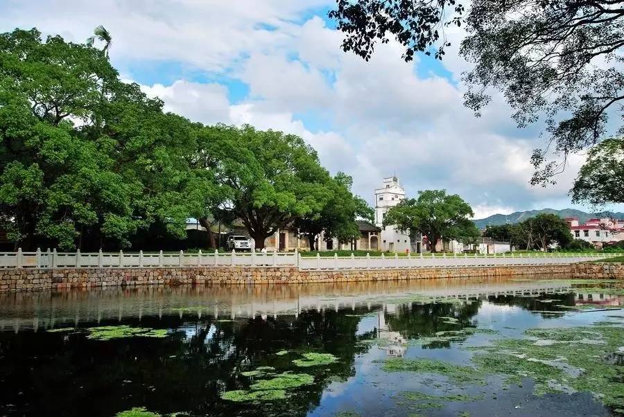 你为什么想留在珠海,你为什么选择来珠海