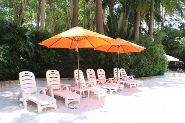 广州附近好玩的沙滩,广州海边沙滩哪里最好