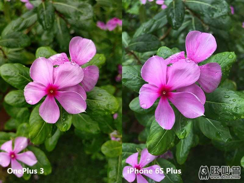 王者归来3完整版,一加3开箱