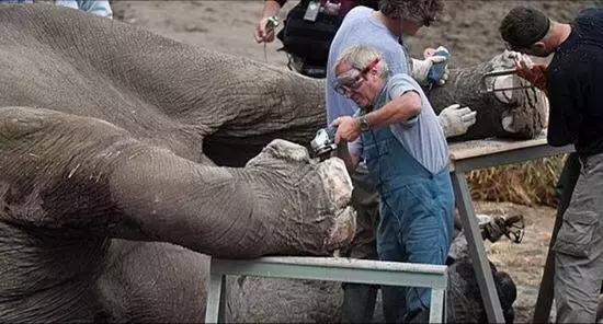 孩子喜欢的动物园,孩子喜欢的动物你绝对想不到