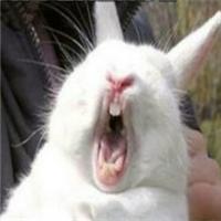 现在都还不知道?身边生物的寿命(饲养编)