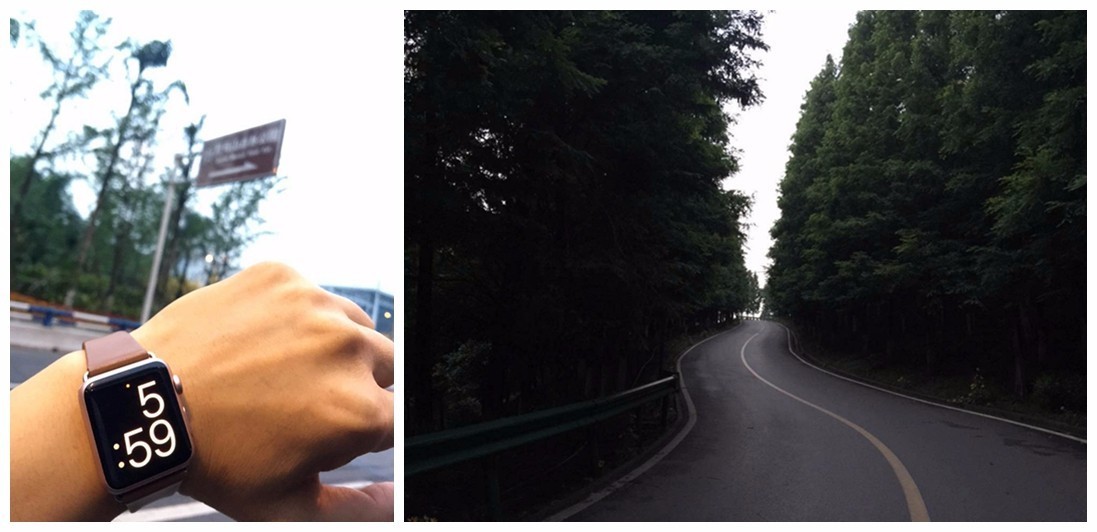 铃木雨燕空间大还是polo空间大,雨燕铃木和polo哪个质量更稳定