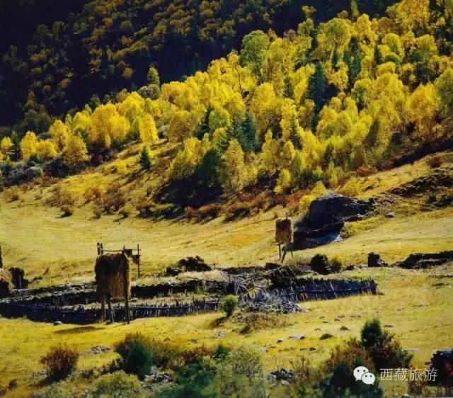 川藏南线进藏十天旅游线路,川藏南线进藏行程