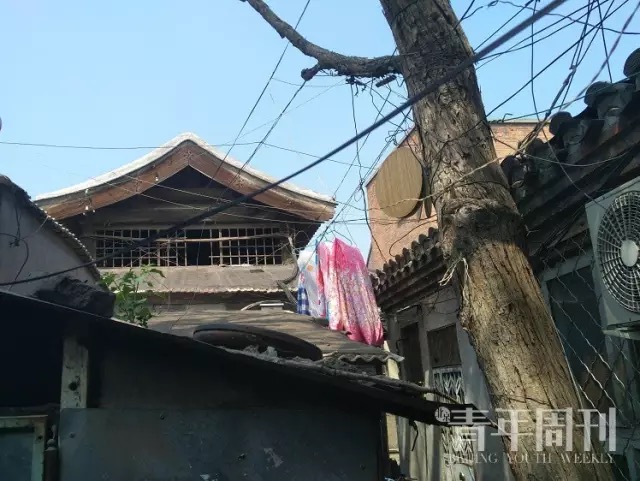 鑰佸寳浜摐閿呮懂鑲夋潹姊呯鏂滆,鑰佸寳浜儭鍚屾潹姊呯鏂滆