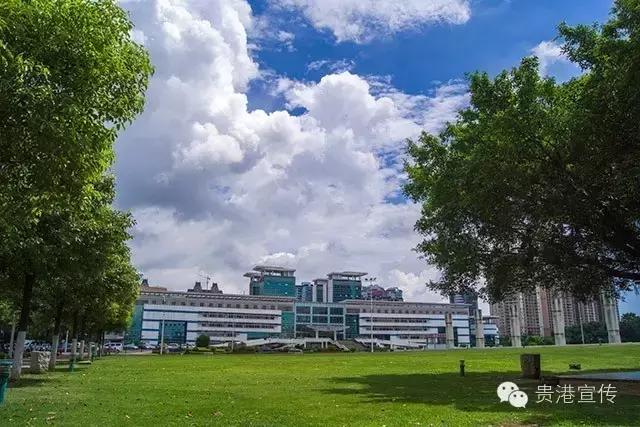 贵港市政务中心24小时便民服务,贵港便民服务站