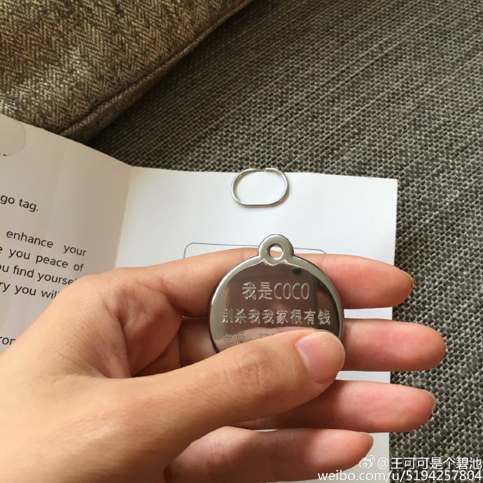 王思聪宠物狗链子,王思聪给爱犬戴项链