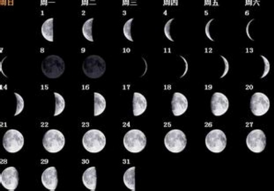 吐槽海贼王动漫更新慢,海贼王漫画吐槽