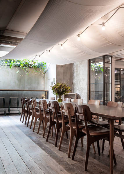 餐厅绿植增加高级感,食堂餐厅装饰绿植效果图