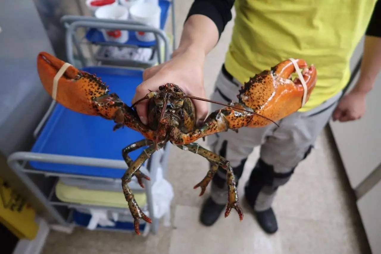 爱德华王子岛位置图,爱德华王子岛省