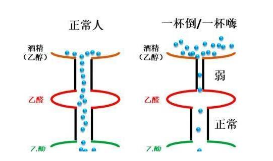 喝酒脸红的人到底能不能喝牛奶,喝酒脸红的人到底能不能喝图片