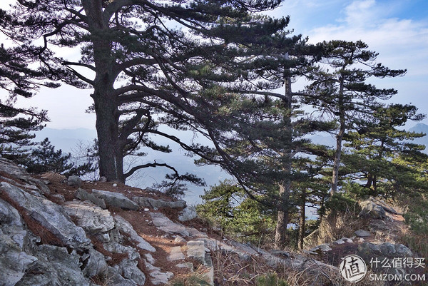 icebreaker滑雪服,icebreaker黑色保暖衣