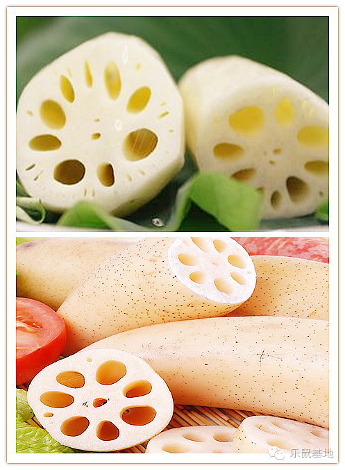 莲花很美,莲花应该怎么吃