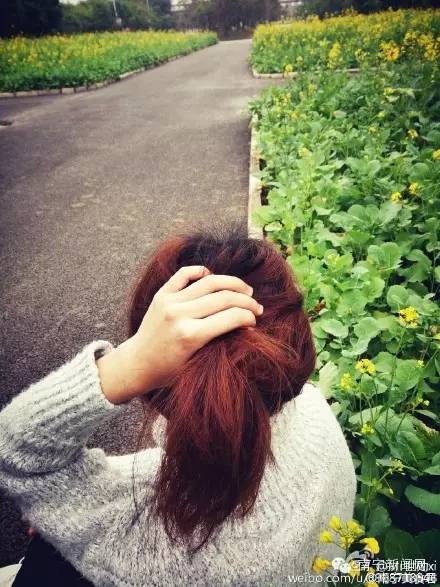 南宁漫山遍野的格桑花盛开,南宁最美小众花海