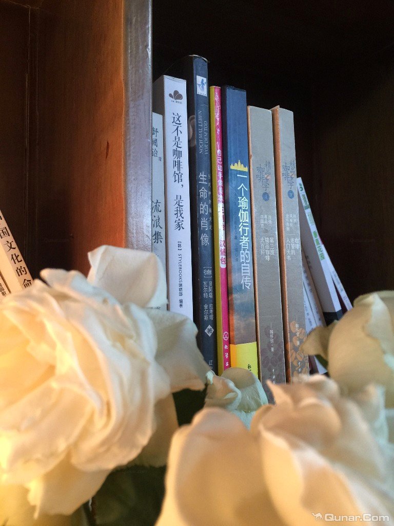 大理无花果好去处,大理路边大叶无花果