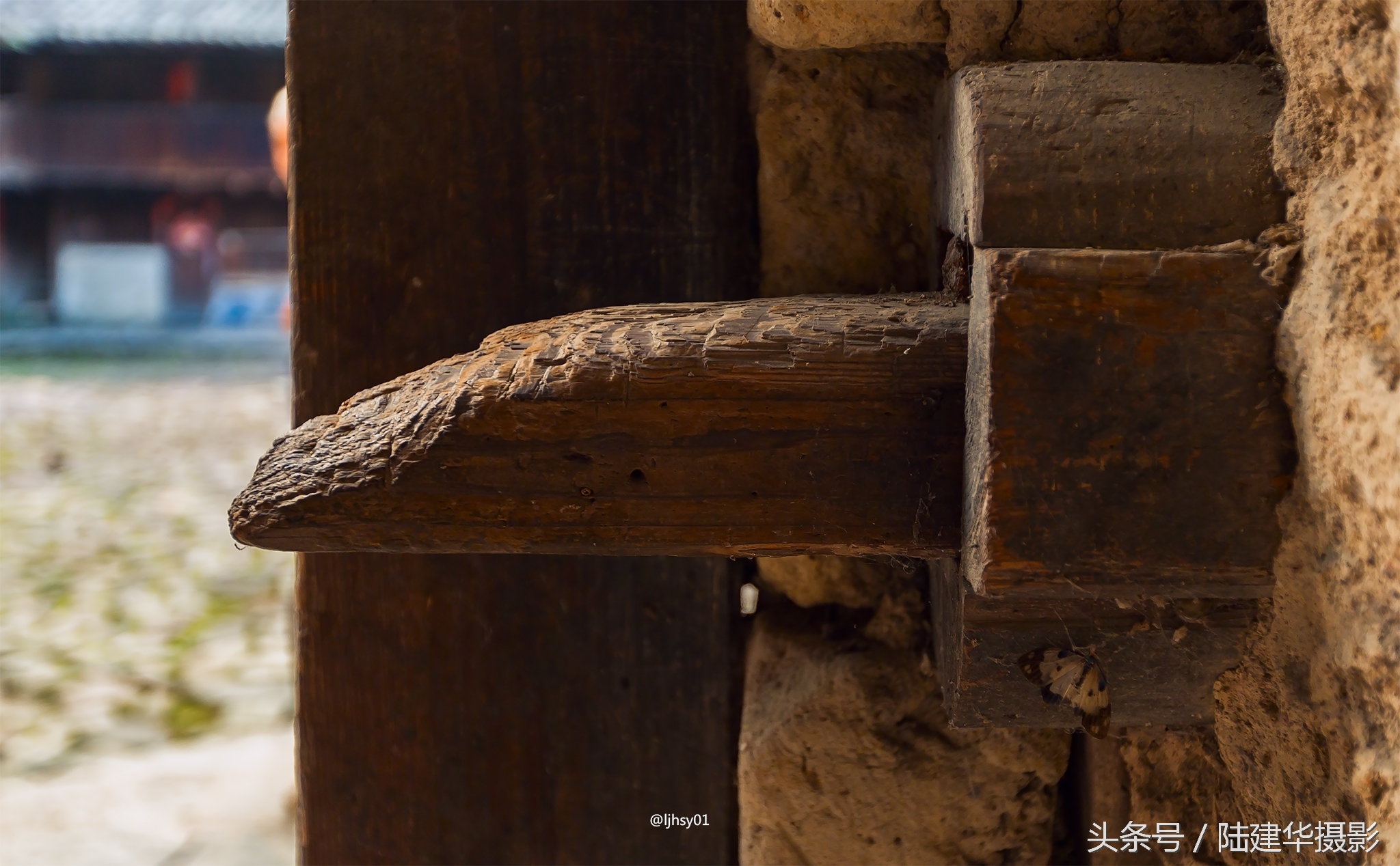 永定土楼南靖土楼大鱼海棠,南靖大鱼海棠土楼