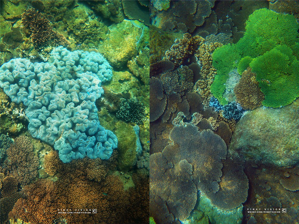 travel环球旅行,travel新旅行