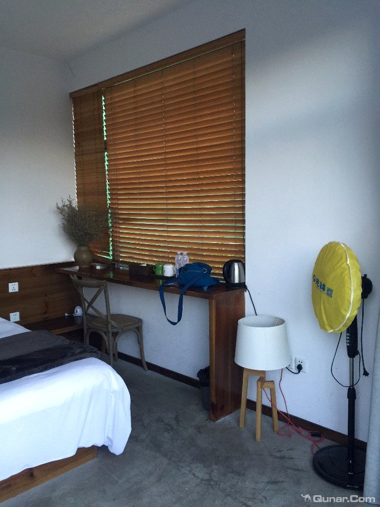 大理无花果好去处,大理路边大叶无花果