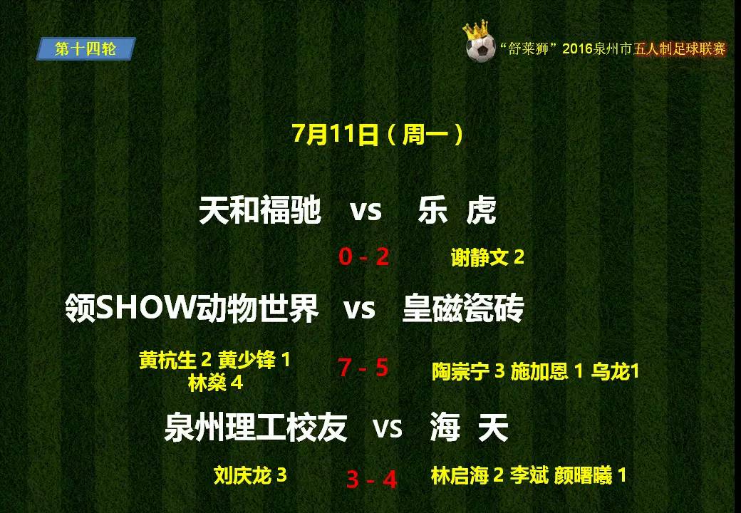 2017年泉州足球比赛,舒莱狮足球锦标赛