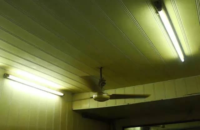 泉州一条老街一段故事,泉州老街巷的传说