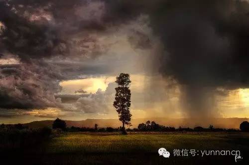阴雨天会影响人的心情吗,阴雨天气对人的危害