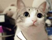 大学生兼职诈骗人多吗,兼职被骗有哪些套路