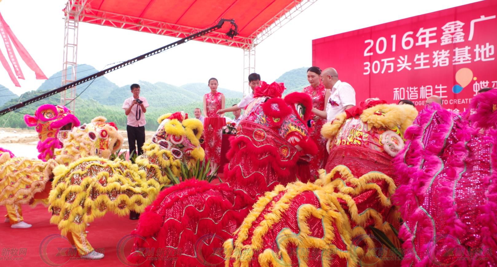 鑫广安农牧广西分公司,鑫广安母猪怎么样