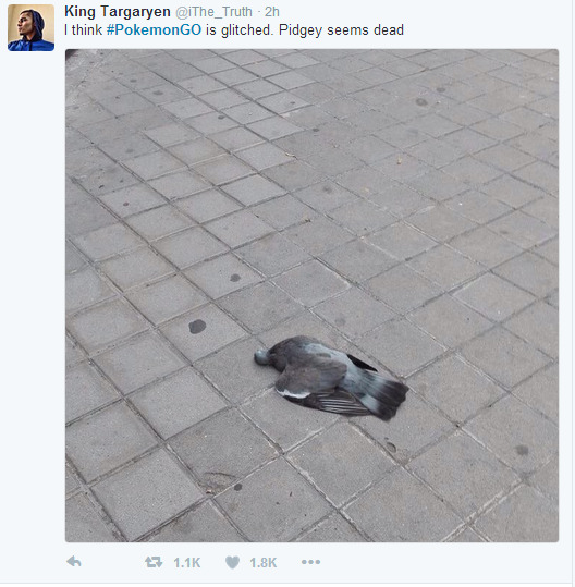 宝可梦go锁区吗,精灵宝可梦go秘密