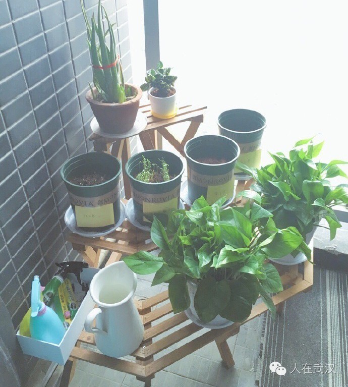 在武汉租房哪个便宜靠谱,武汉租房是什么感觉