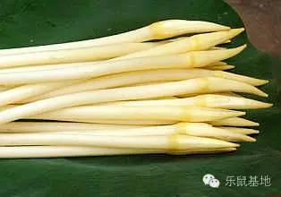 莲花很美,莲花应该怎么吃