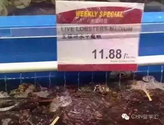 看完加拿大这些贵到发紫的东西，分分钟想回国！