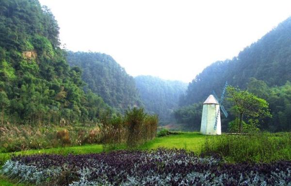 白云山林海风景,资中县白云山风景区
