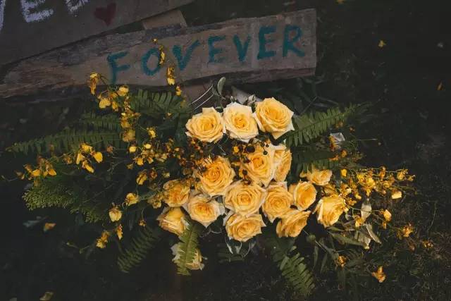 森系婚礼案例,独一无二的浪漫森系婚礼