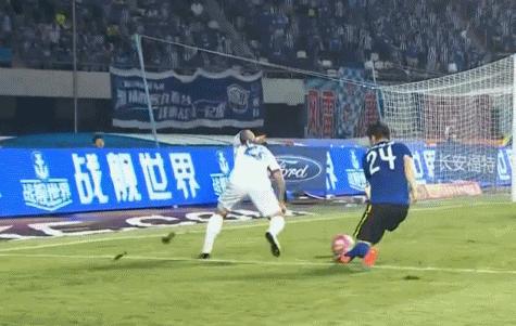 娴锋淳瓒崇悆,娴锋淳浠ｈ〃浜虹墿鏈夎皝